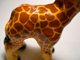 Giraffe Detail